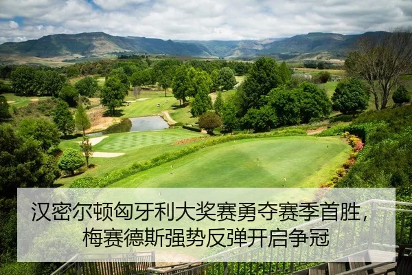 han-mi-er-dun-xiong-ya-li-da-jiang-sai-yong-duo-sai-ji-shou-sheng-mei-sai-de-si-qiang-shi-fan-tan-kai-qi-zheng-guan-2-831.jpg